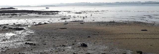  jeudi c'est photos pêle-mêle 