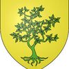 Questembert (56)