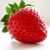 TheFraise