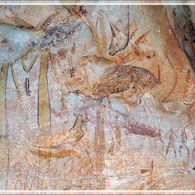 Direction le dernier site de la journée, avec des peintures rupestres de Gwion Gwion, sous un surplomb tout en haut de la falaise - Swift Bay - Wunambal Gaambera - Mitchell Plateau - Kimberley - Australie