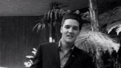 photo elvis