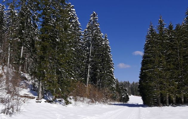 Le 19 mars 2021, que choisir ? Balade ou ski ? Les deux mon Capitaine !