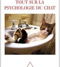 Les conseils de Joël Dehasse :