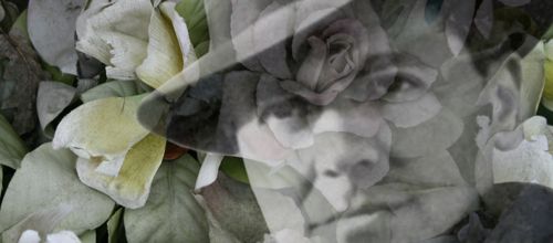 Nous remercions le Cercle Jean Moulin d'avoir mis en ligne sur son Site l'article de Jean-François Gavoury concernant "La Mémoire Profanée de Jean Moulin à Béziers"