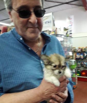 Une nouvelle venue dans la famille