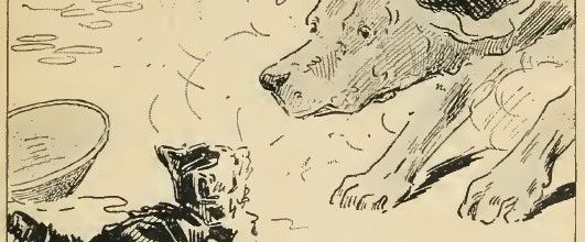 Chien et Chat
