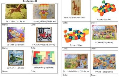 Suivi Puzzles GS 2017-2018