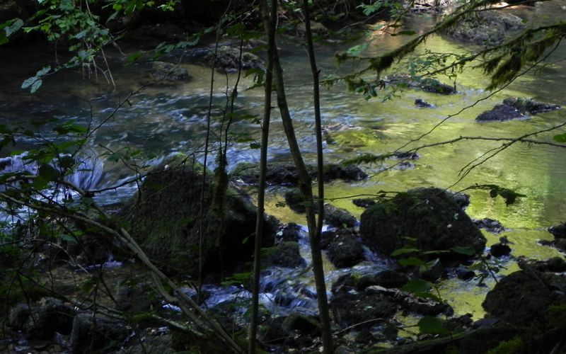 La rivière d'or , le Lison dans le Doubs