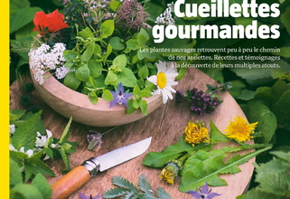 Cueillettes gourmandes