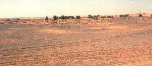 Noël au Sahara : le retour à Timimoun