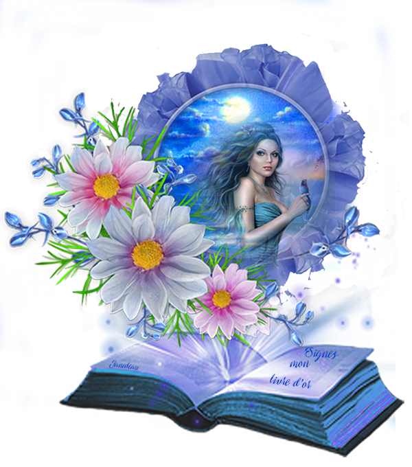 Mon livre d'or