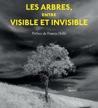 DOWNLOADS Les arbres, entre visible et invisible  - S'étonner, comprendre, agir