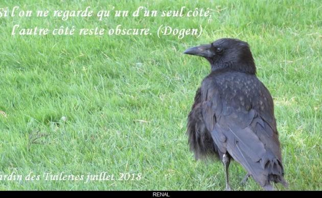 D'un seul côté ....