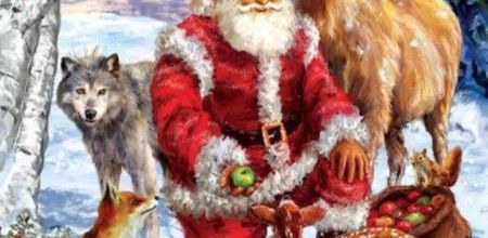 Des cadeaux de Noël pour les animaux ?