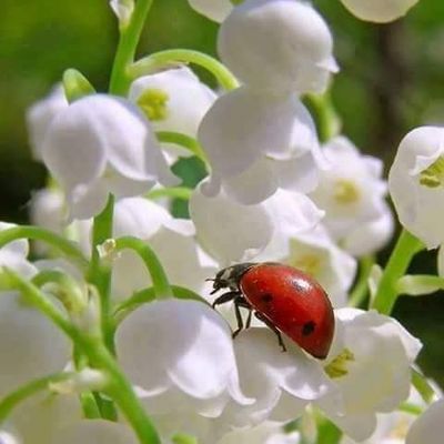 Le Vrac'infos de la semaine !