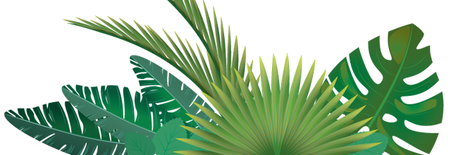 ѼVegetation