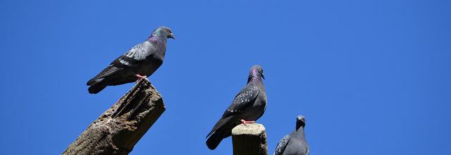 La photo du weekend : sous le ciel de Paris ... 