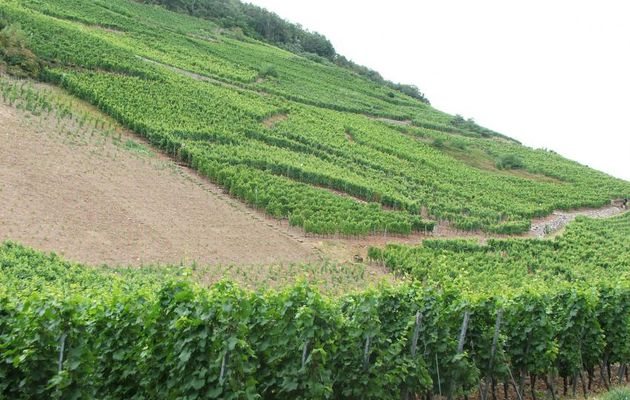 l'Alsace  en 2008 dept  67 - 68
