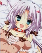 ChibiNekoo