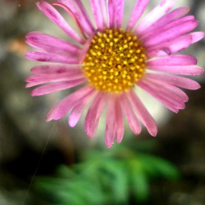 Belle journée à tous les Valentin et les Valentine qui nous entourent!