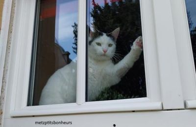 Vous en voulez de mes "insolites"?