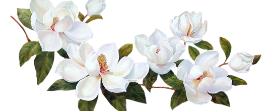 La légende du jasmin