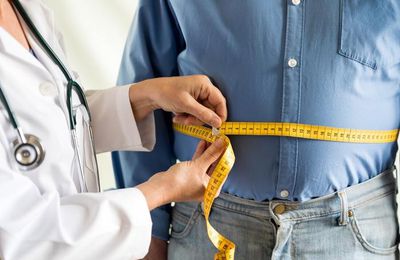 NOTES SUR L'ANATOMIE : ESTOMAC ET INTESTIN