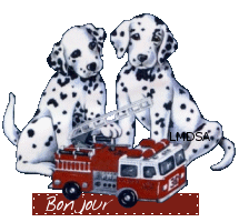 Wouaf...... mon jardin en novembre