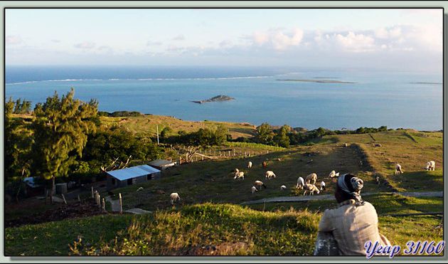Images des îles Maurice et Rodrigues transférées depuis mon ancien blog