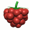 Glace sorbet framboises du jardin