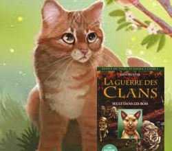 La Guerre des Clans illustré Tome 4
