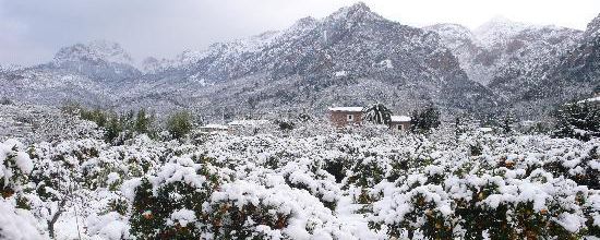 il tombe aussi de la neige à Majorque 
