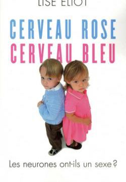 Cerveau rose ou cerveau bleu ?