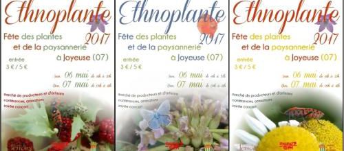 choissisez l'affiche d'ethnoplante édition 2017 !
