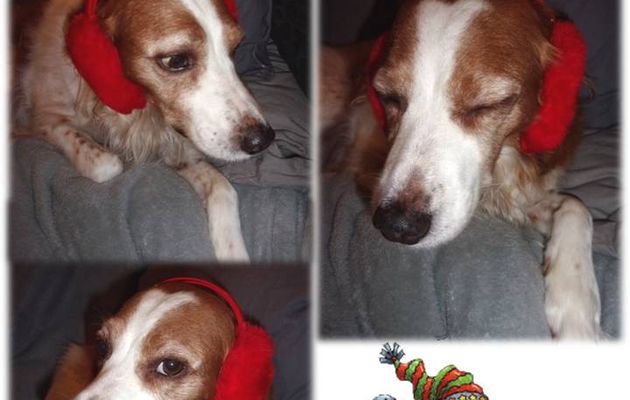 Emy peut affronter l'hiver ....