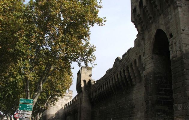 Avignon