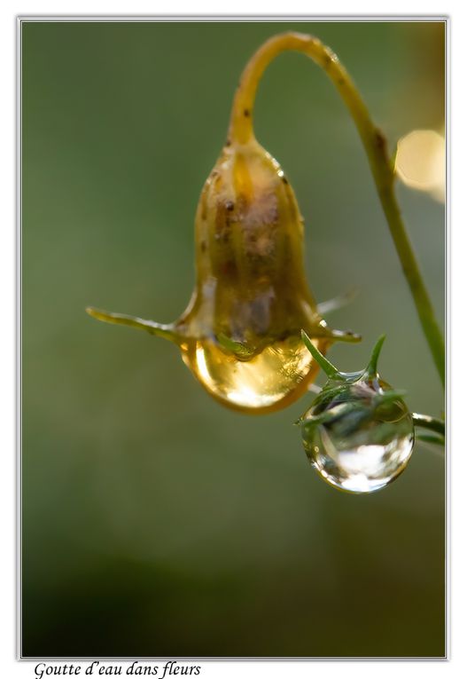 02 - Gouttes d'eau