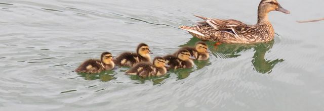 une famille ...