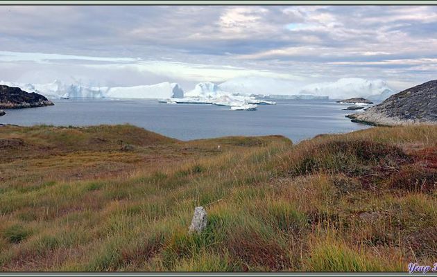 Retour à Sermermiut où on va essayer d'observer, dans la baie, des baleines d'un peu plus près - Ilulissat - Baie de Disko - Groenland
