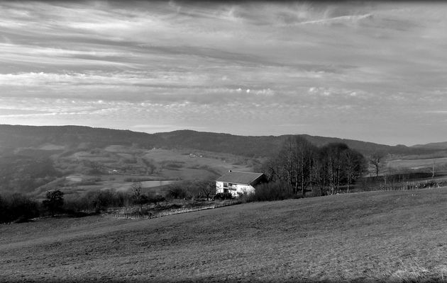 Retord in black and white