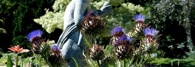 Metz / Rendez-vous d'été au Jardin Botanique...