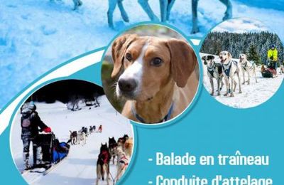 Balade en traîneau dans le Jura 