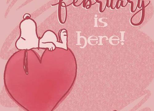 Pourquoi ne pas offrir de roses à la Saint Valentin 