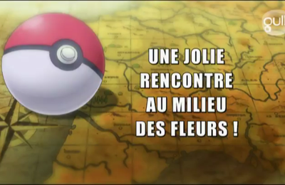 Pokémon - 18x40 - Une jolie rencontre au milieu des fleurs !
