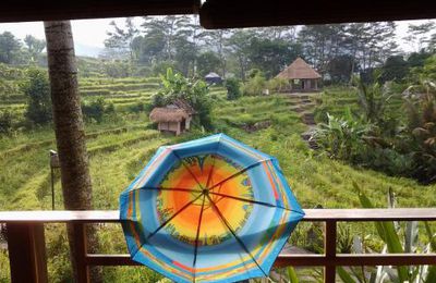 Belle ombrelle à Bali