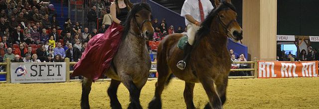 Salon de l'Agriculture 2014 : Les chevaux de trait Ardennais