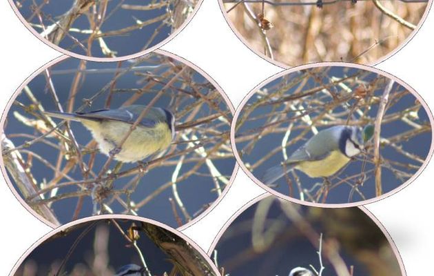 Ma patience a été récompensée et en plus avec le soleil