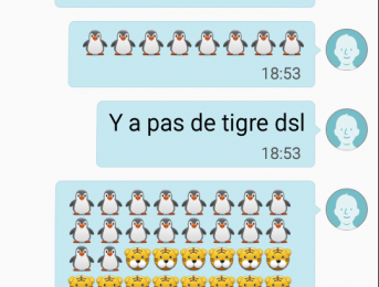 Etat lamentable ...