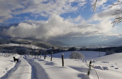 Le 29 novembre 2021:Tout est blanc vers la Grange des Moines - 2