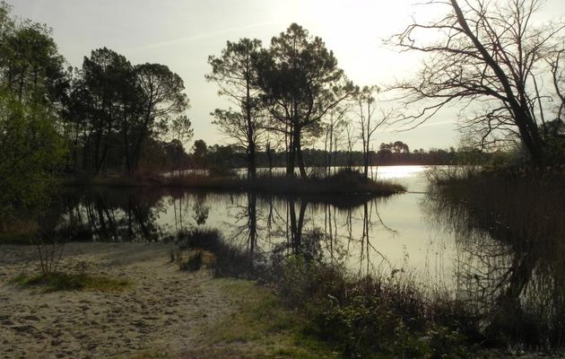 lac d'Hostens en Gironde  (2) 